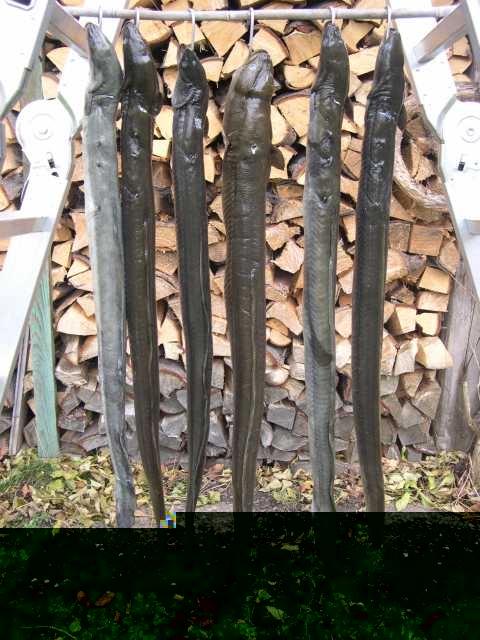 20100613 Räuchern1.jpg