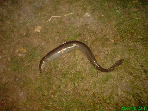 Kopie von DSC03800.JPG