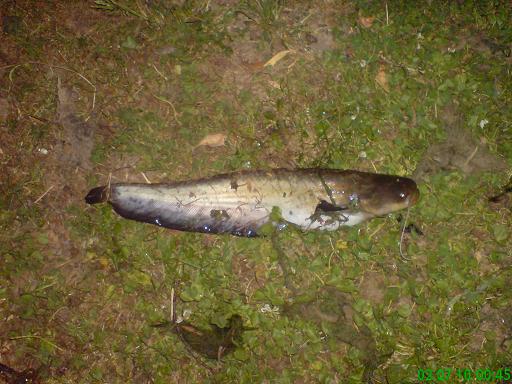 Kopie von DSC03805.JPG