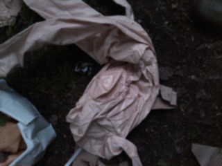 IMG043.jpg
