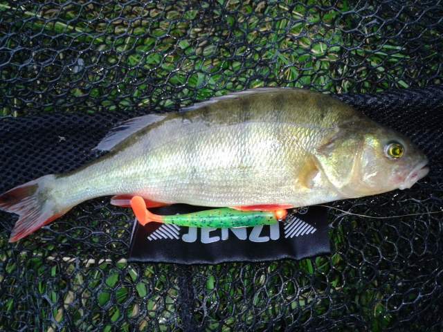 2011-07-26 19.25.14 640x480.jpg