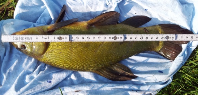 2012-05-23 08.03.30.jpg