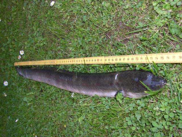 20120617.jpg