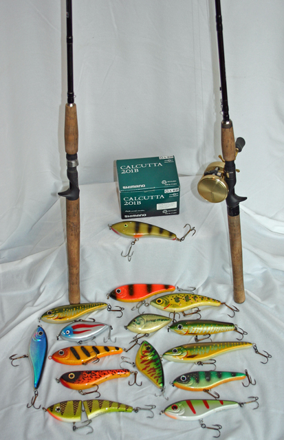 Sehr Hochwertige Jerkbait Ausrüstung.jpg