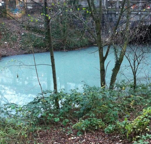 2015-12-19 17.20.14.jpg